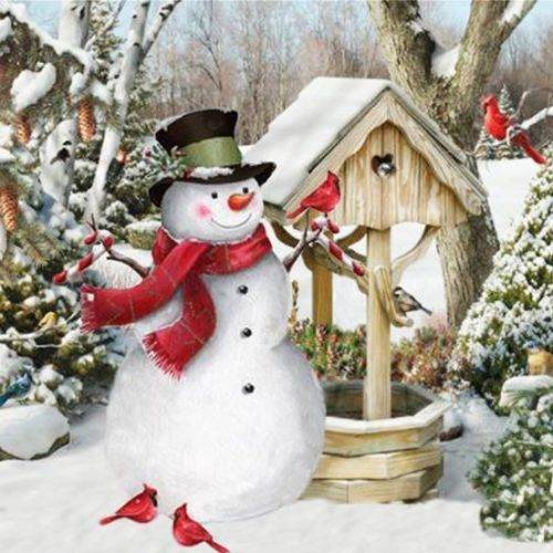 Almofada Decorativa – 24-411